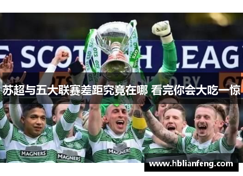 苏超与五大联赛差距究竟在哪 看完你会大吃一惊